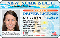 Driving licence